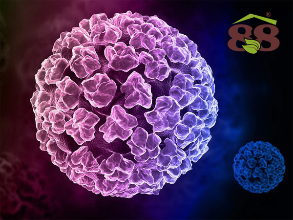 bị nhiễm HPV có  làm sao không